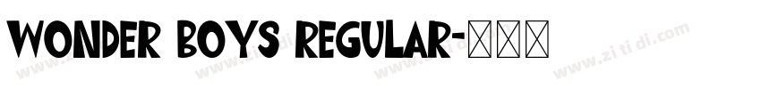 Wonder Boys Regular字体转换